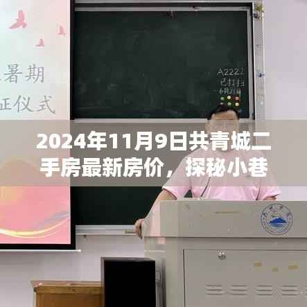 2024年共青城二手房最新房价揭秘，小巷特色小店探秘