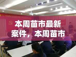 本周苗市热点揭秘,最新案件动态全掌握