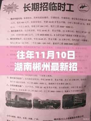 湖南郴州最新招聘信息概览,往年11月10日求职热点揭秘