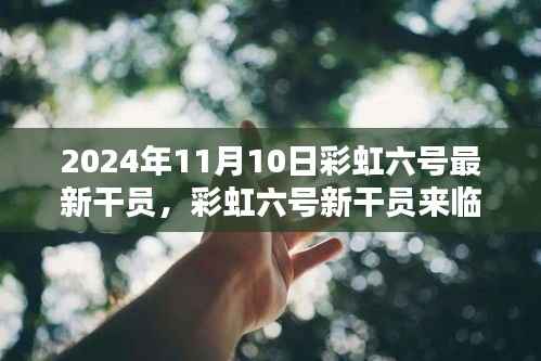 彩虹六号新干员温馨降临,友情与陪伴的篇章(2024年11月10日最新资讯)