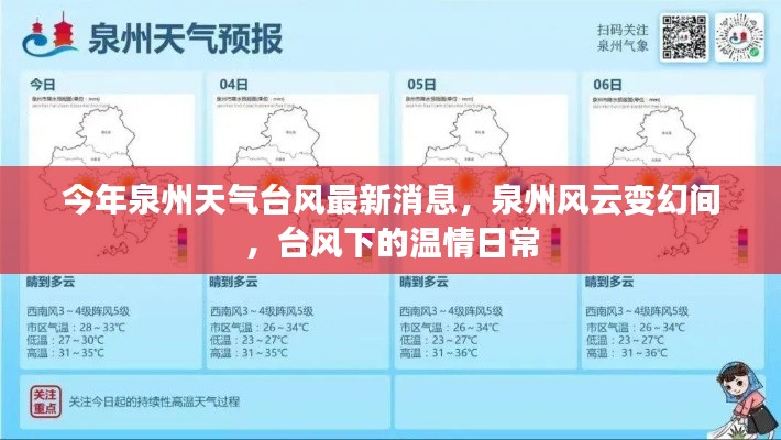 泉州台风最新消息,风云变幻中的温情日常