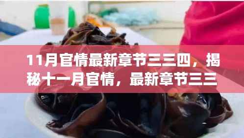 揭秘十一月官情最新章节三三四,深度解读与要点详解