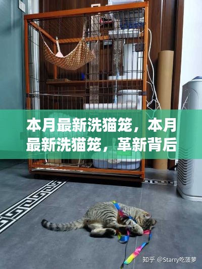 本月最新洗猫笼,革新背后的故事与深远影响