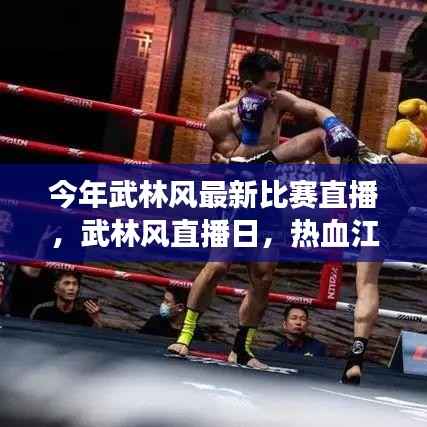 武林风直播日,热血江湖中的温情瞬间与最新比赛直播回顾