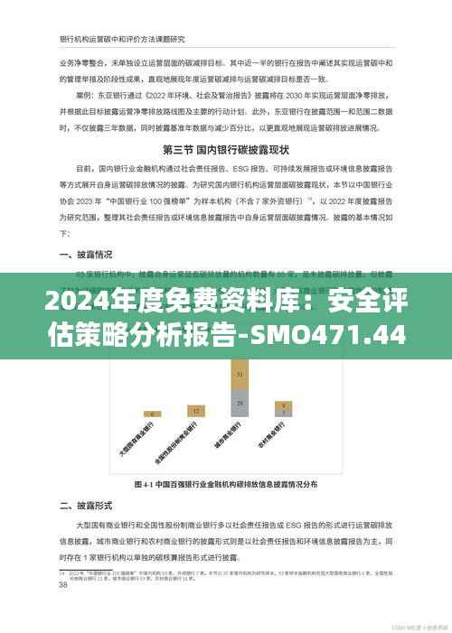 2024年度免费资料库:安全评估策略分析报告-SMO471.44版