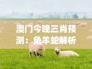 澳门今晚三肖预测:兔羊蛇解析及安全版JAF8.16解读
