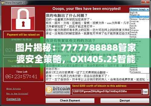图片揭秘:7777788888管家婆安全策略,OXI405.25智能版设计解析
