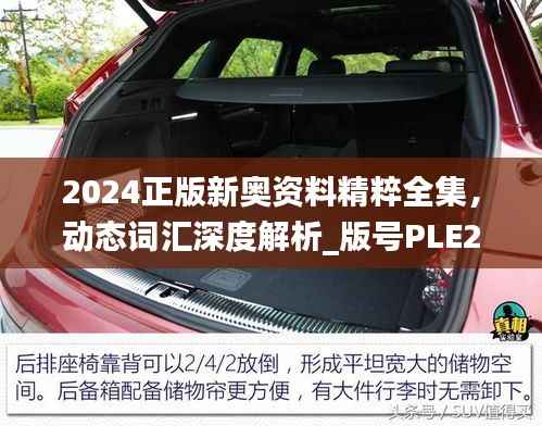 2024正版新奥资料精粹全集,动态词汇深度解析_版号PLE259.74
