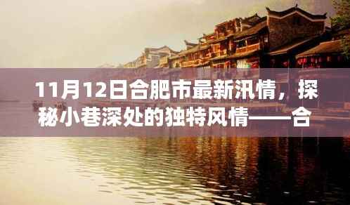 合肥汛情下的隐秘美食天堂探秘,小巷风情与美食之旅