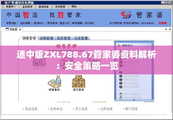 适中版ZXL788.67管家婆资料解析:安全策略一览