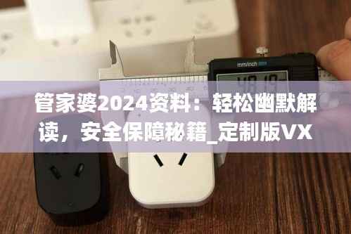 管家婆2024资料:轻松幽默解读,安全保障秘籍_定制版VXN275.07