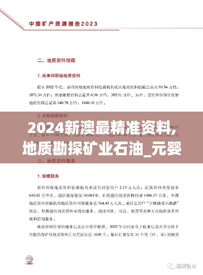 2024新澳最精准资料,地质勘探矿业石油_元婴HNO653.24
