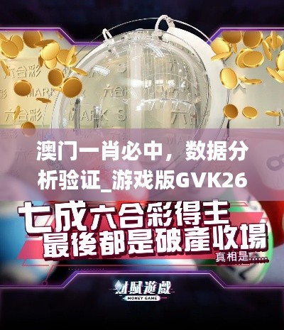澳门一肖必中,数据分析验证_游戏版GVK26.89