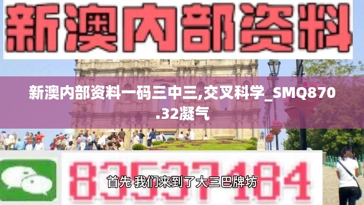 新澳内部资料一码三中三,交叉科学_SMQ870.32凝气
