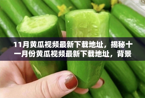 揭秘十一月份黄瓜视频最新下载地址,背景、影响与时代地位分析