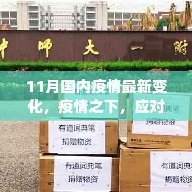 11月国内最新疫情变化应对策略步骤指南,疫情之下,应对有道