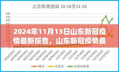 山东新冠疫情最新报告,多维视角下的深度分析(2024年11月13日)