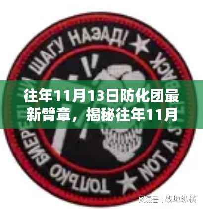 揭秘往年11月13日防化团最新臂章背后的故事与深层意义