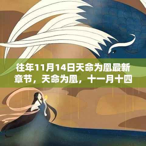 天命为凰，十一月十四日的日常与温馨篇章