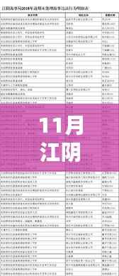江阴十一月最新公告发布,初学者与进阶用户指南详解