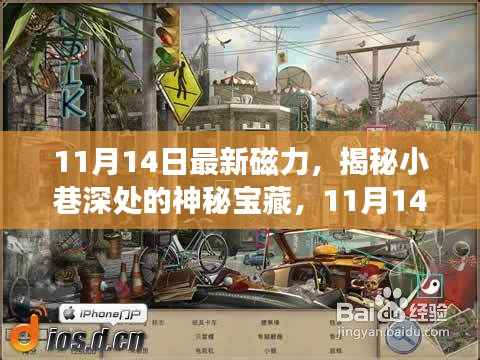 揭秘神秘宝藏,11月14日最新磁力小巷小店探秘之旅