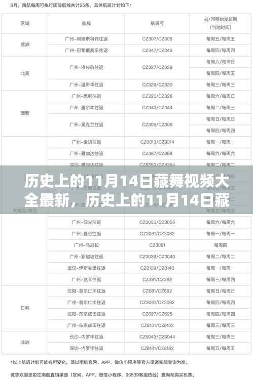 历史上的11月14日藏舞视频大全,探寻传统舞蹈魅力的精彩瞬间