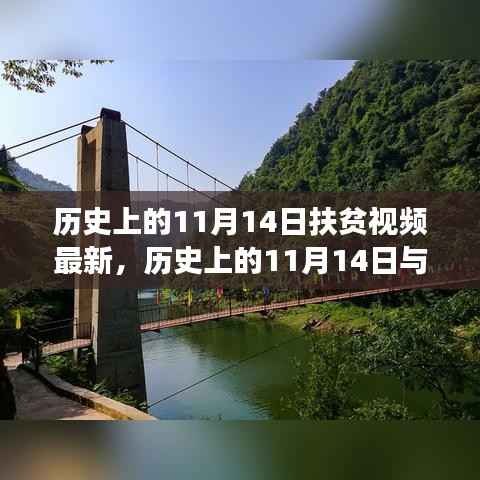 历史上的11月14日与扶贫视频最新进展深度剖析