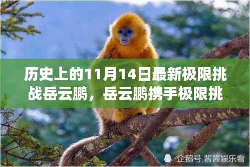 岳云鹏揭秘科技新纪元,极限挑战携手超燃高科技产品震撼登场(11月14日)