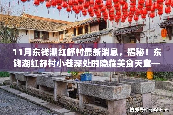 揭秘东钱湖红舒村最新动态,小巷美食天堂独家报道