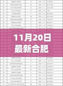 合肥干部任前公示日,启程自然秘境探寻内心宁静之旅