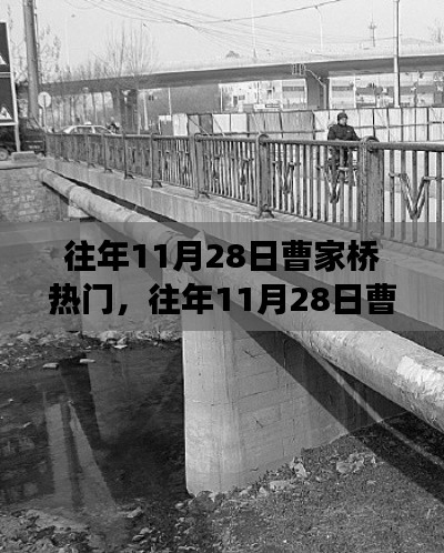 揭秘曹家桥11月28日的热门现象,正反两面观点深度剖析