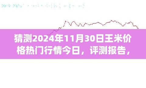 独家解析,王米价格行情预测至2024年11月30日,今日热门行情与未来展望评测报告
