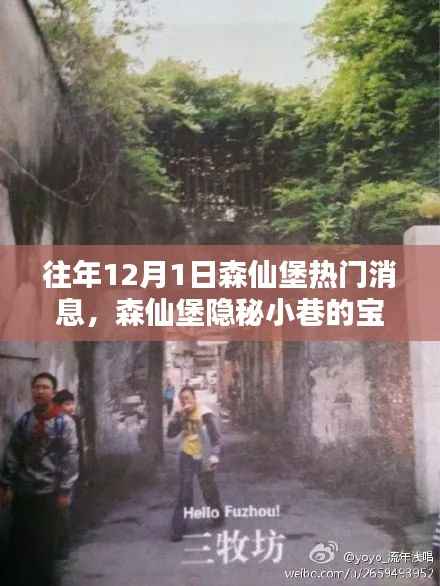 揭秘森仙堡隐秘小巷宝藏,十二月一日独家新闻与特色小店的非凡魅力