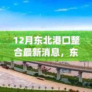 东北港口整合最新动态,智能港口管理系统革新之旅