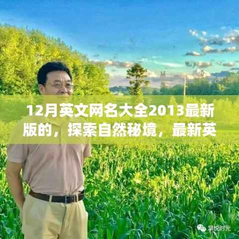 最新英文网名推荐,探索自然秘境的宁静之旅——十二月旅行指南(2023版)