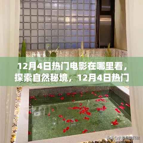 肝胆相照 第9页