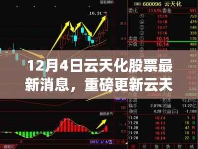 云天化股票最新动态揭秘,市场走势分析与前景展望(12月4日更新)