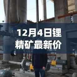 揭秘锂精矿市场风云变幻,最新价格动态及趋势分析(十二月四日)