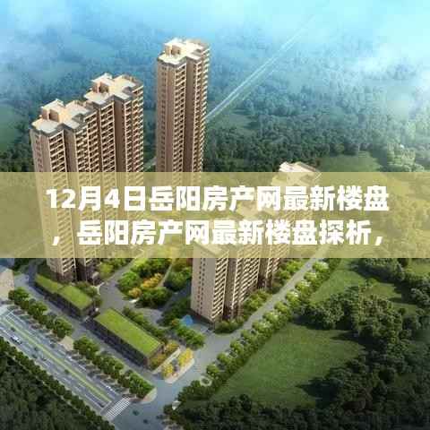 岳阳房产网最新楼盘深度解析,投资价值的探究