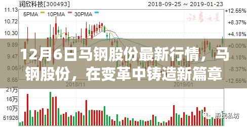 马钢股份最新行情深度解析,变革中铸造新篇章(12月6日)