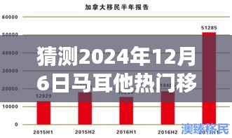 揭秘马耳他热门移民条件,预测未来趋势,为申请之路做好准备(预测至2024年12月)