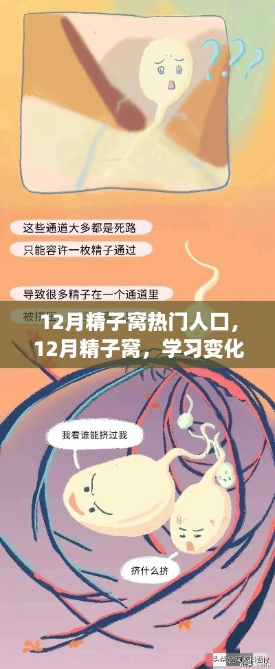 12月精子窝,学习变化与自信成就感的源泉,热门人生的启航地