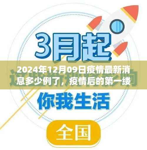 疫情最新消息下的自然美景之旅,启程寻找内心的宁静港湾(2024年12月09日)