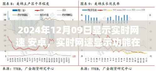 以2024年观察点为视角,安卓手机的实时网速显示功能的重要性探讨。