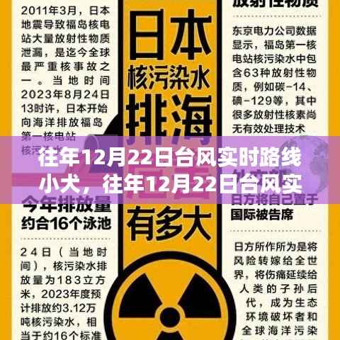 揭秘往年12月22日小犬台风实时路径与深度分析