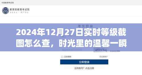 2024年12月27日等级截图揭秘,时光温馨一瞬,友谊见证时刻