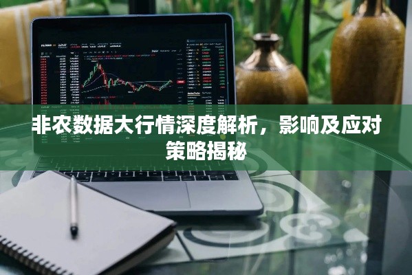 非农数据大行情深度解析,影响及应对策略揭秘