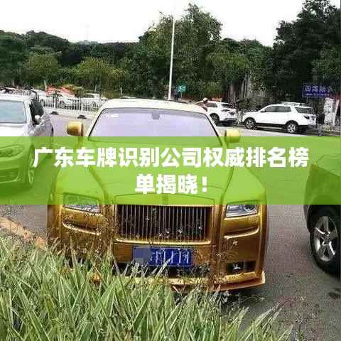 广东车牌识别公司权威排名榜单揭晓!