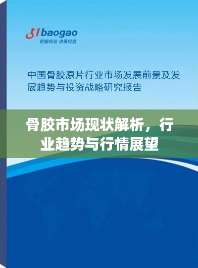 骨胶市场现状解析,行业趋势与行情展望
