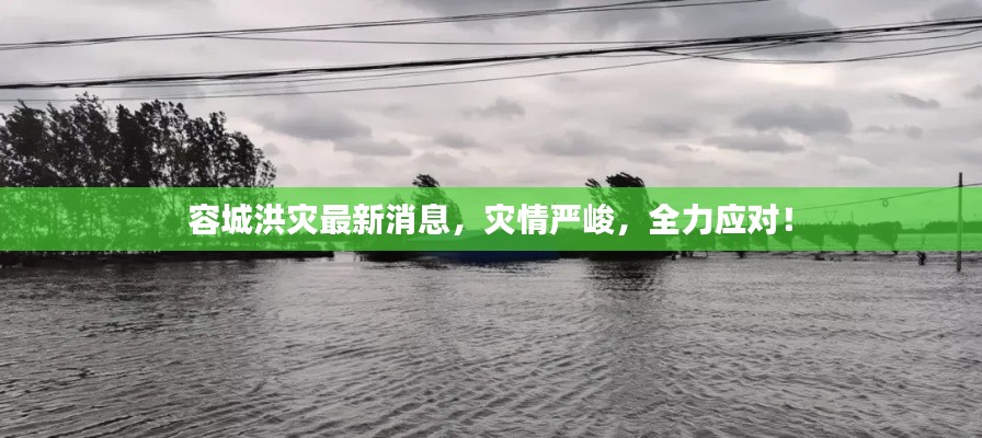 容城洪灾最新消息,灾情严峻,全力应对!